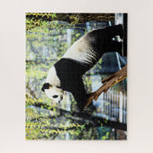 Panda Legpuzzel (Verticaal)