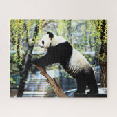 Panda Legpuzzel (Horizontaal)