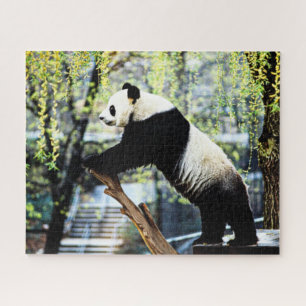 Panda Legpuzzel