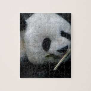 Panda Legpuzzel