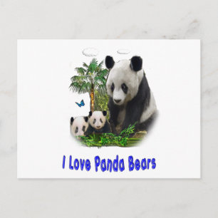 Panda Love art Briefkaart