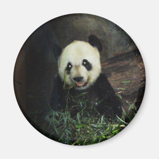 Panda Magneet (Voorkant)