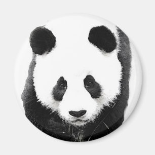 Panda Magneet