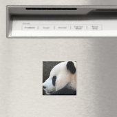 Panda Magneet (Insitu (Vaatwasser))