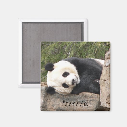 Panda Magnet (Voorkant / Achterkant)