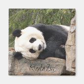 Panda Magnet (Voorkant)