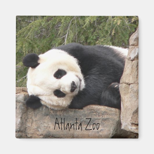 Panda Magnet (Voorkant)