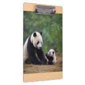 Panda Mama en Baby Klembord (Rechts)