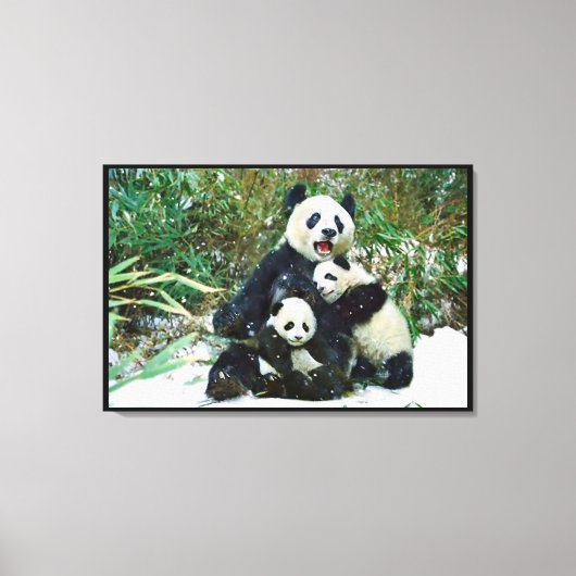 Panda met welpen Verpakt Canvas Afdruk (Voorkant)