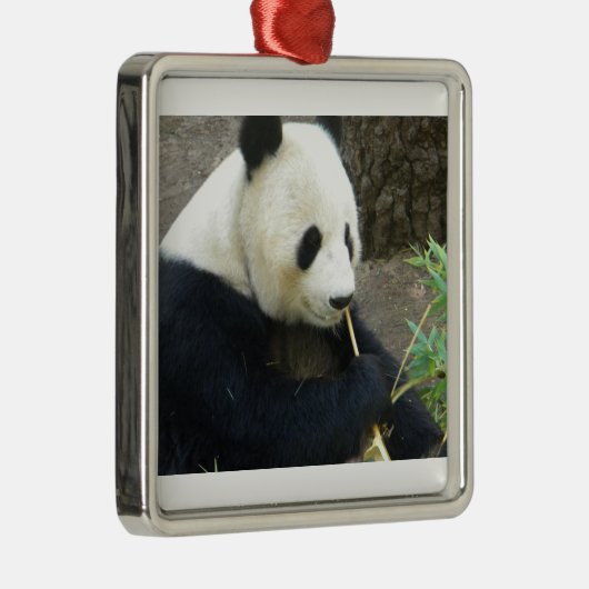 Panda Metalen Ornament (Rechts)
