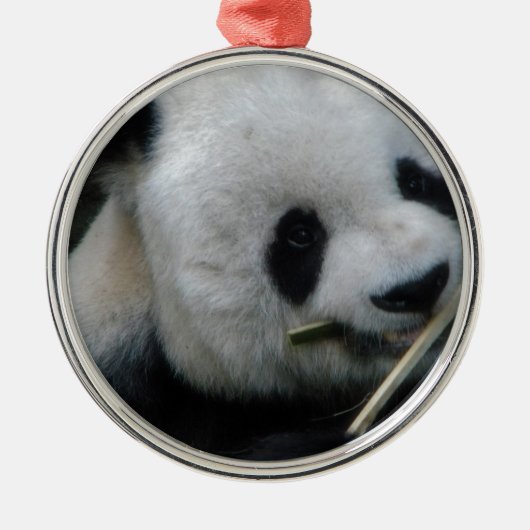 Panda Metalen Ornament (Voorkant)
