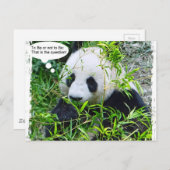 Panda Modern Pop Art Quote Sjabloon Trendy Briefkaart (Voorkant / Achterkant)