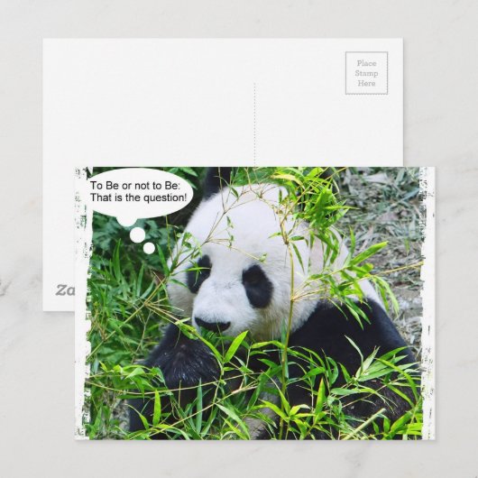 Panda Modern Pop Art Quote Sjabloon Trendy Briefkaart (Voorkant / Achterkant)
