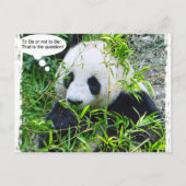 Panda Modern Pop Art Quote Sjabloon Trendy Briefkaart (Voorkant)