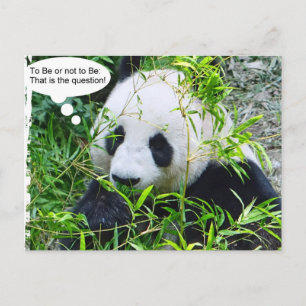 Panda Modern Quote Animal Sjabloon Trendy Briefkaart