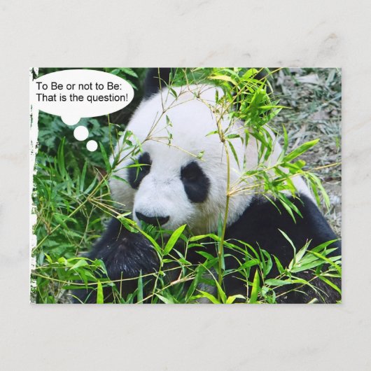 Panda Modern Quote Animal Sjabloon Trendy Briefkaart (Voorkant)