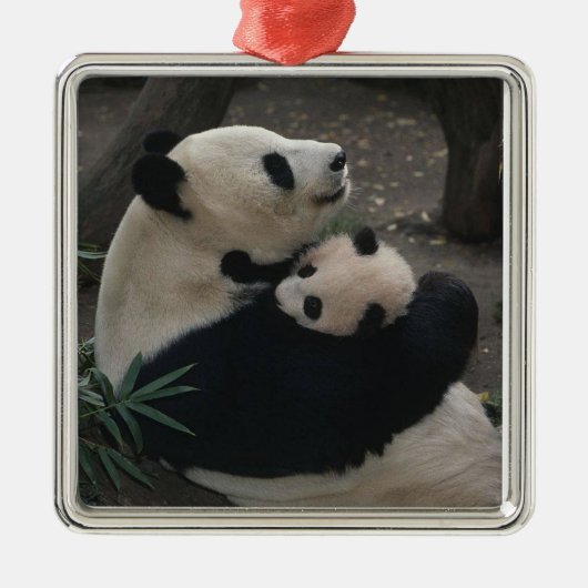 Panda Momma en Baby Metalen Ornament (Voorkant)