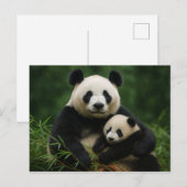 Panda Mother & Cub in Gentle Rain Briefkaart (Voorkant / Achterkant)