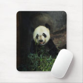 Panda Muismat (Met muis)
