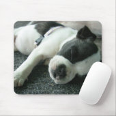 panda muismat (Met muis)