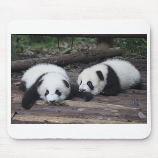 Panda Muismat (Voorkant)