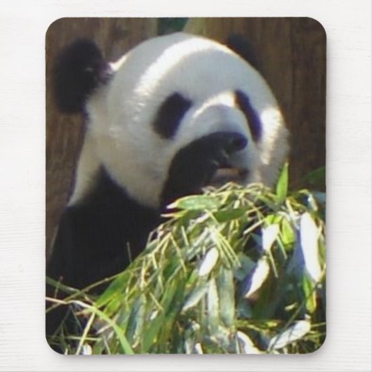 Panda Muismat (Voorkant)