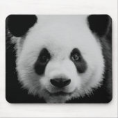 Panda Muismat (Voorkant)