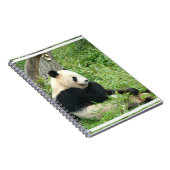 Panda Notitieboek (Rechterzijde)