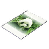 Panda Notitieboek (Linkerzijde)