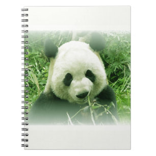 Panda Notitieboek