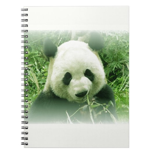 Panda Notitieboek (Voorkant)