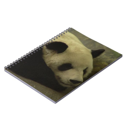 Panda Notitieboek (Linkerzijde)