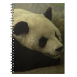 Panda Notitieboek