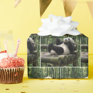 Panda op een houten platform cadeaupapier