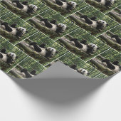 Panda op een houten platform cadeaupapier (Hoek)