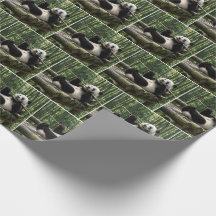Panda op een houten platform