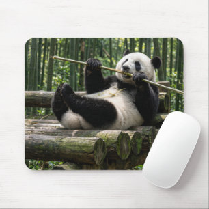 Panda op een houten platform muismat
