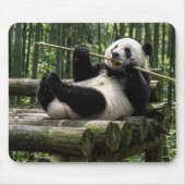 Panda op een houten platform muismat (Voorkant)