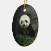 Panda Ornament ~ Endangered Species Series (Links)