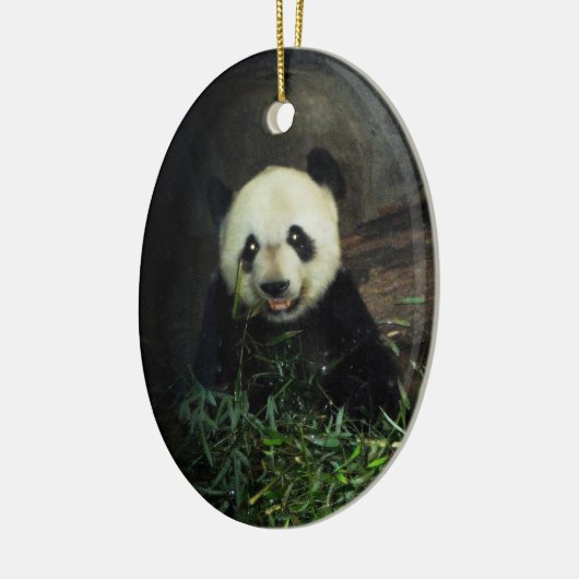 Panda Ornament ~ Endangered Species Series (Links)