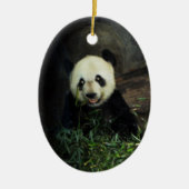 Panda Ornament ~ Endangered Species Series (Voorkant)
