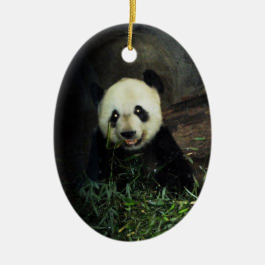 Panda Ornament ~ Endangered Species Series (Voorkant)