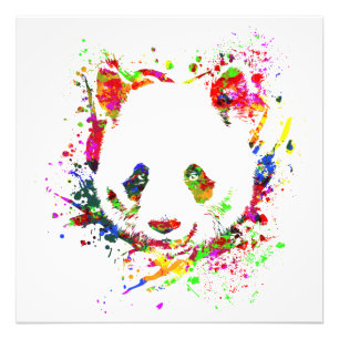 Panda Ours Animal Sauvage Forêt Oerwoud Chine Bamb Foto Afdruk