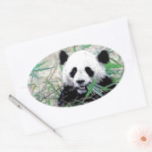 Panda Ovale Sticker (Envelop)