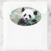 Panda Ovale Sticker (Tas)