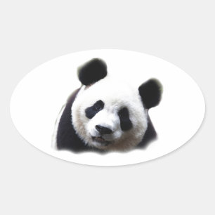Panda Ovale Sticker