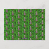 Panda (patroon) - Briefkaart (Voorkant)