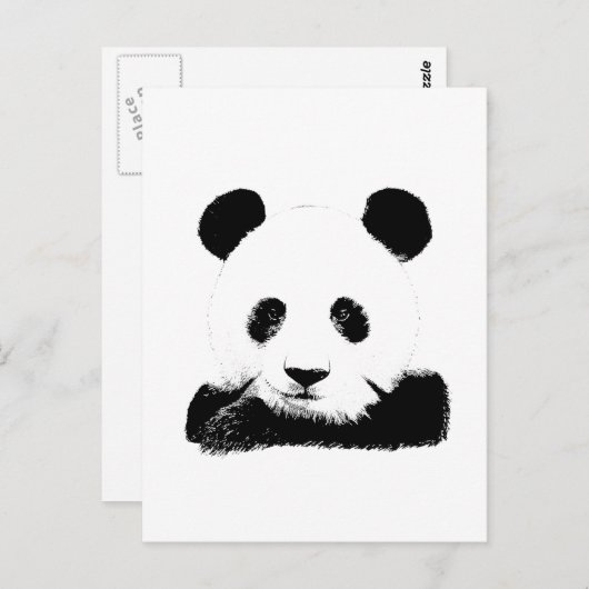 Panda Peeks uit Briefkaart (Voorkant / Achterkant)