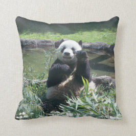 Panda Pillow Kussen