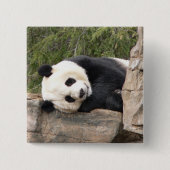 Panda Pin Vierkante Button 5,1 Cm (Voorkant)